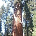 ���� Anthony🔆, ������ ��������, 39 ��� - ��������� 20 �������� 2018 � ������ ������ ��������