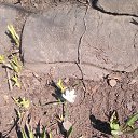 ���� �������, ������ - ��������� 8 ����� 2019 � ������ ������� - ��� ����� � ���� �����...�