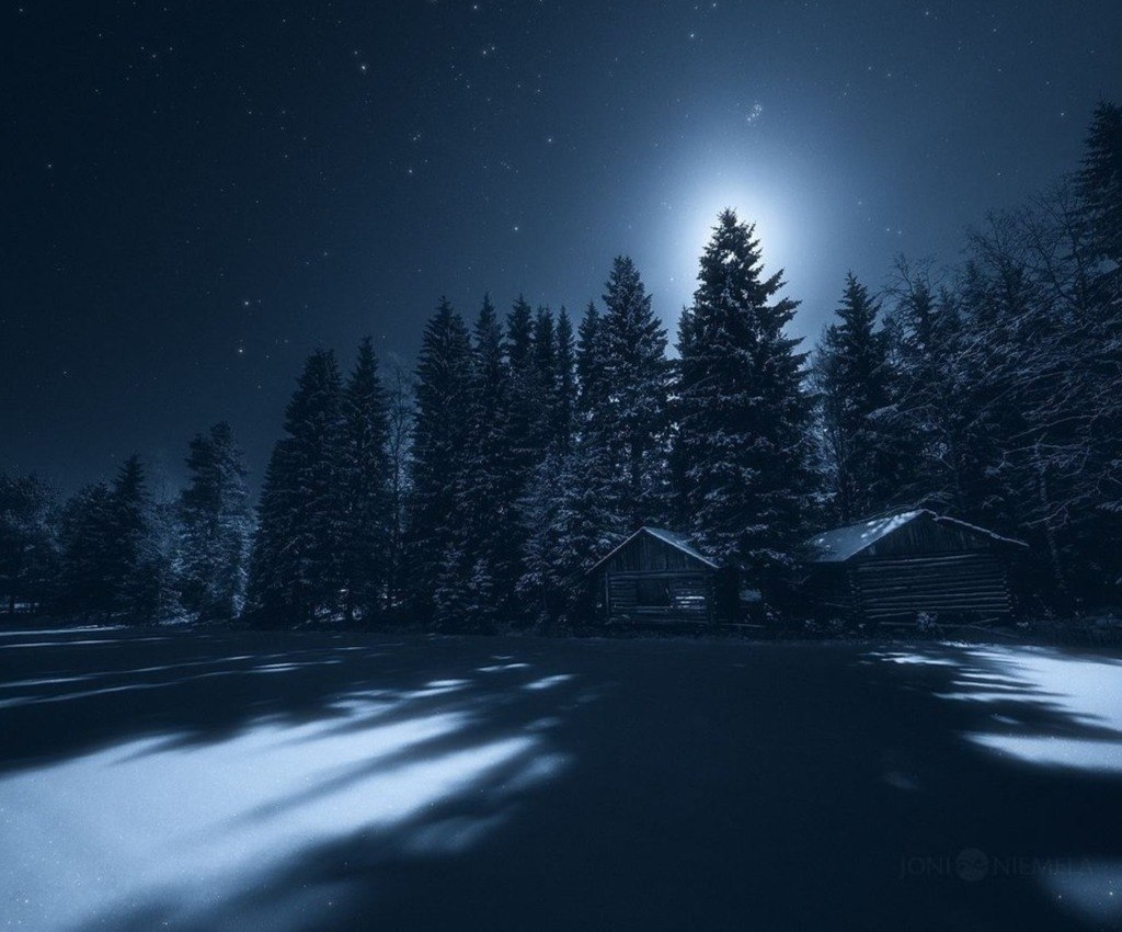 В лунную снежную ночь