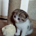 ���� Shkodina, ������ �������� - ��������� 6 ������ 2018 � ������ ���� �����