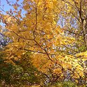 ���� ����, ������ - ��������� 27 ������� 2018 � ������ ���� ����������