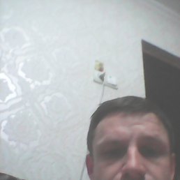 �����, �����, 43 ����