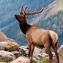  , -, 64  -  9  2019   - 