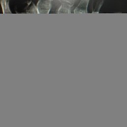 ������, ������, 41 ���