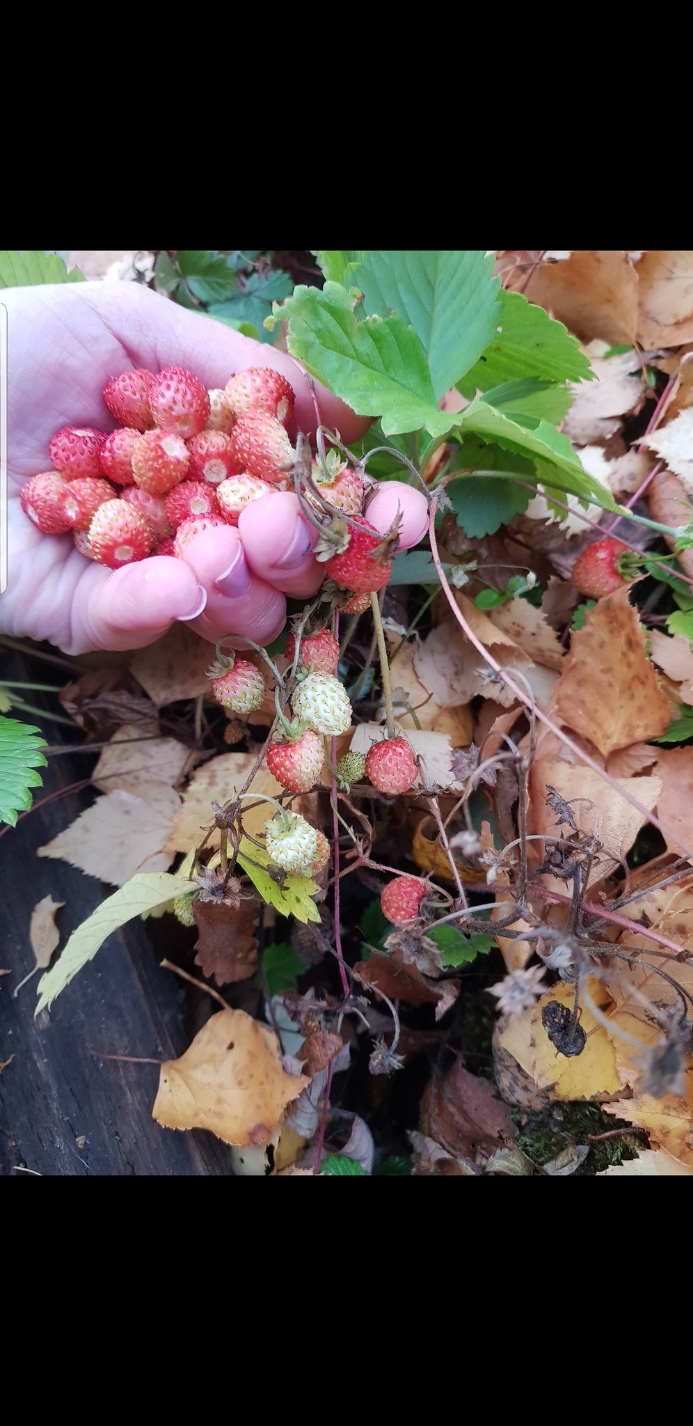      ,      ,       , ...