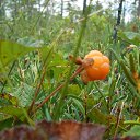 ���� ��������, ����������, 60 ��� - ��������� 24 �������� 2018 � ������ ���� ����������