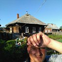 ���� ���, ��������, 43 ���� - ��������� 11 ������� 2018 � ������ ���� ����������