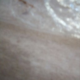 �����, ������������, 55 ���