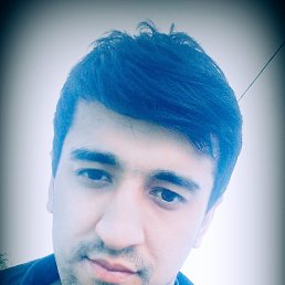 ����, �����-���������, 36 ���