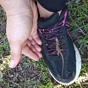 ���� ����, ��������, 34 ���� - ��������� 24 �������� 2018 � ������ ������ ��������