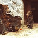 ���� Viktoria, �������, 34 ���� - ��������� 31 ������ 2019 � ������ ������ ��������