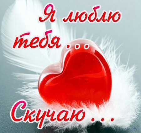   ,    . - 8  2019  11:14