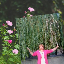 ��������, ������, 49 ���