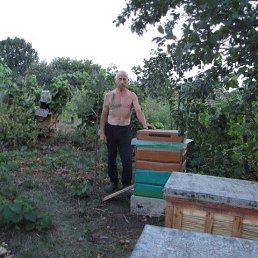 ����, ������, 74 ����