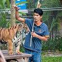   -  !), -, 53  -  10  2019     