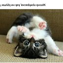 ���� ��������, �����, 51 ��� - ��������� 18 ������� 2018 � ������ ������ ��������