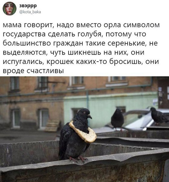   - 17  2018  16:34