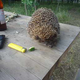 ���� ���, ��������, 47 ��� - ��������� 30 ������ 2019