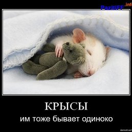���� �������, �����������, 26 ��� - ��������� 1 ������� 2018