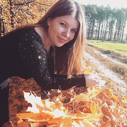 �����, ��������, 28 ���