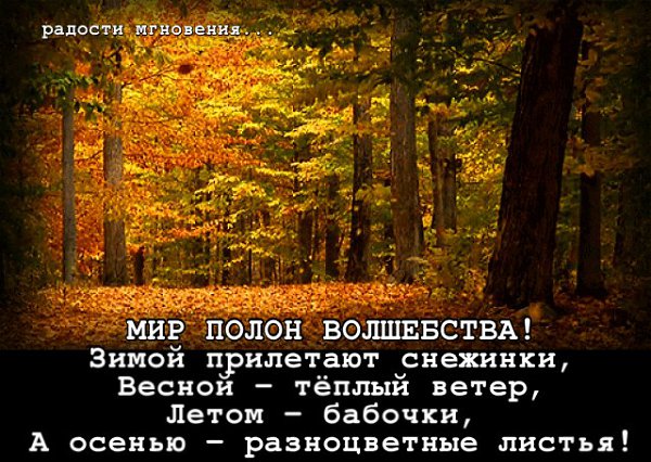 ��������� ������ ������ ���������, ��� �����, ������ ������ ������, �����! � ���� ����� �������, ...