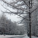 ���� �����, ������, 46 ��� - ��������� 4 ������ 2019 � ������ ���� ����������