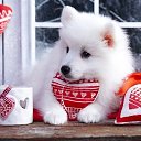 ���� Aleks, �����������, 65 ��� - ��������� 14 ������� 2019 � ������ ������ ��������