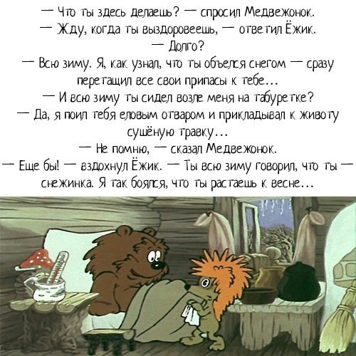 Спрошу у нас есть. Ёжик и Медвежонок цитаты. Про ежика и медвежонка. Ёжик и Медвежонок если тебя нет. Ежик и Медвежонок текст.