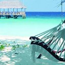 ���� �����, ���������� - ��������� 15 ������ 2019 � ������ ���� ����������