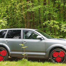 ��������, ���������, 32 ����