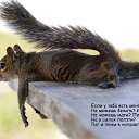���� ������, ������, 57 ��� - ��������� 17 ������� 2018 � ������ ������ ��������