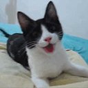 ���� ��������, �������, 56 ��� - ��������� 13 �������� 2018 � ������ ���� ����������