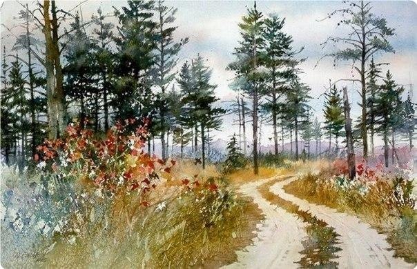 A��ape�� ���� ����. - 5