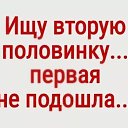 ���� ���������, ������ - ��������� 11 �������� 2018
