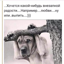 ��������, �������, 86 ���