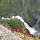 ���� ����, ����������� - ��������� 26 ������� 2019 � ������ ���� ����������