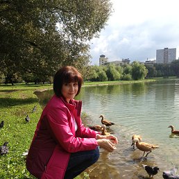 �����, ����������, 58 ���