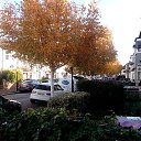  Dainius, , 51  -  22  2018   