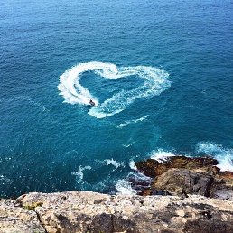 �����, �����-���������, 44 ����