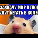 ���� ����, ����� - ��������� 25 ���� 2018