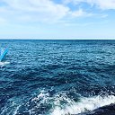 ���� �����, ������, 32 ���� - ��������� 22 ������� 2018 � ������ ���� ����������