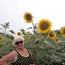 ���� ��������, ������� - ��������� 14 ���� 2018 � ������ ���� ����������