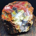 ���� ����, ��������, 37 ��� - ��������� 17 ����� 2019 � ������ ������ ��������