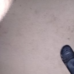 ��������, �����, 25 ���