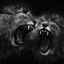  Din, , 66  -  9  2018    