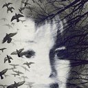 ���� ������, ������� - ��������� 15 ���� 2018 � ������ ���� ����������