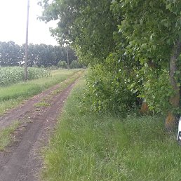 ���� ���������, �������, 44 ���� - ��������� 16 ������� 2018