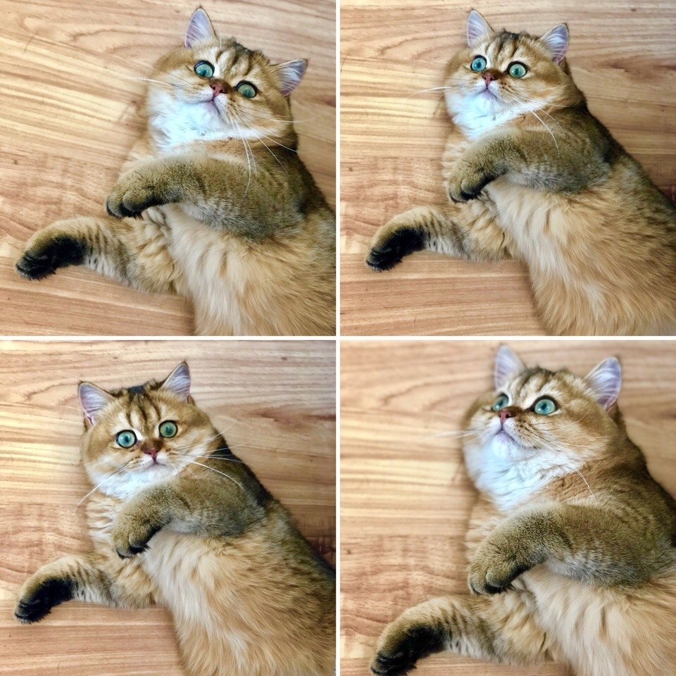   ?    ...