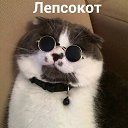 ���� ��, ������, 62 ���� - ��������� 14 ������ 2019 � ������ ���� ��