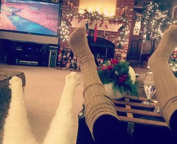Мы не знаем, что принесет нам Новый 2019 год, как сложится наша жизнь, чего в ней будет больше – ...